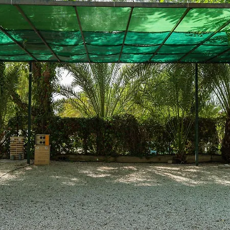 Palmeras 2* Crevillente