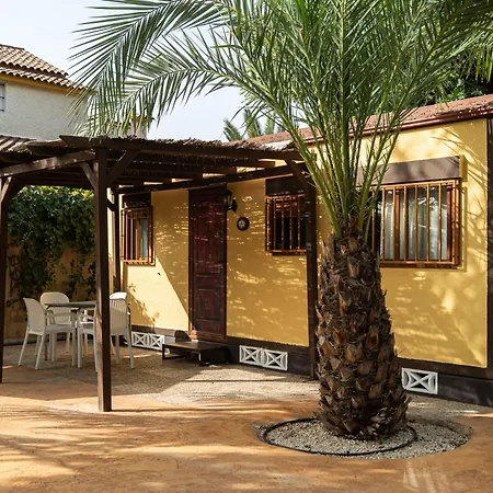 Palmeras Crevillente