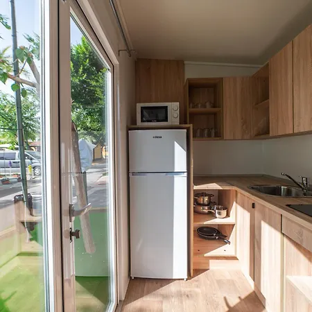 Palmeras Kemp Crevillente