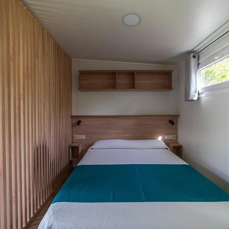 Palmeras Crevillente