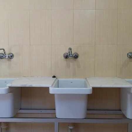 Palmeras Crevillente