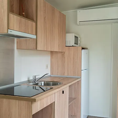 Palmeras Crevillente