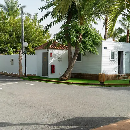 Palmeras 2*