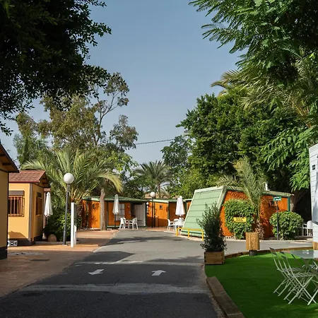 Palmeras 2* Crevillente