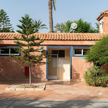 Palmeras Camping Crevillente