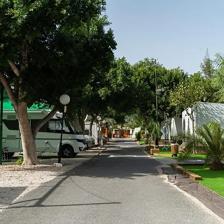 Palmeras Camping