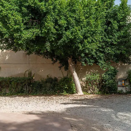 مكان تخييم Palmeras 2*