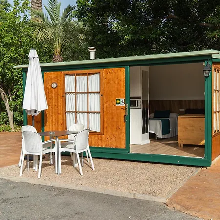 Palmeras Camping Crevillente
