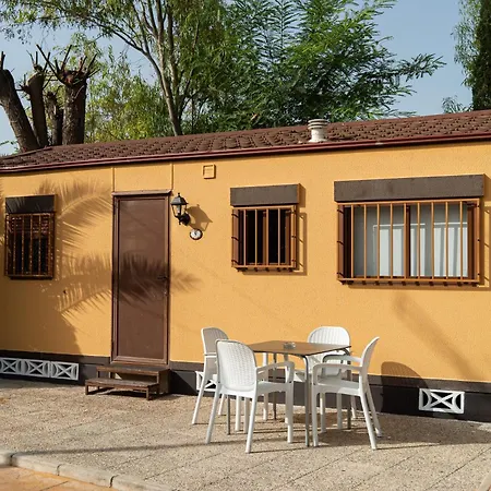 Camping Palmeras Crevillente