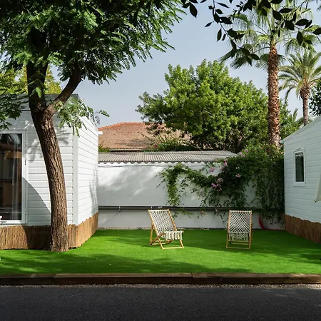 Palmeras Crevillente