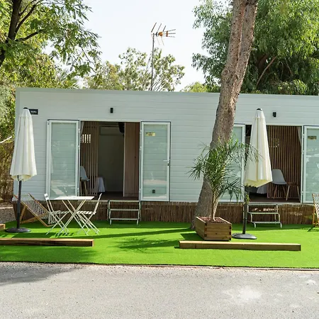 Camping Palmeras 2*