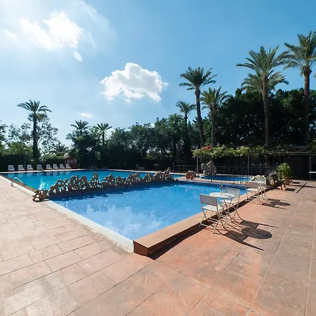 Camping Palmeras Crevillente