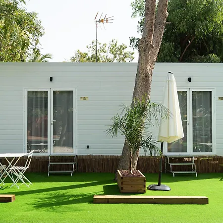 Palmeras 2* Crevillente